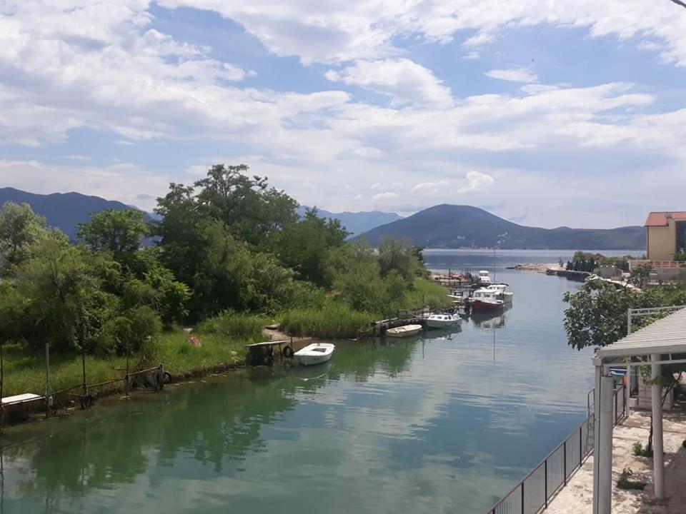 Barbarez Guest House Herceg Novi Dış mekan fotoğraf