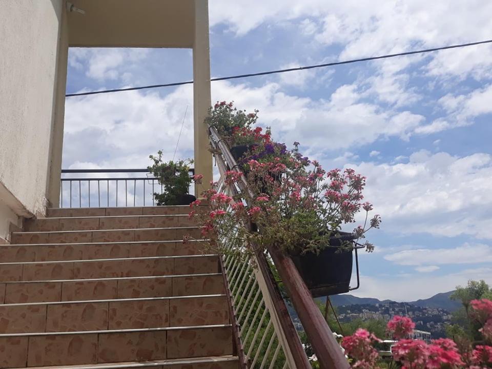 Barbarez Guest House Herceg Novi Dış mekan fotoğraf